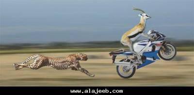 ewa tab3ayad  nach  a9ayi  amssalya